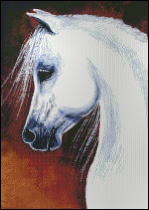 Arabian Grey Horse